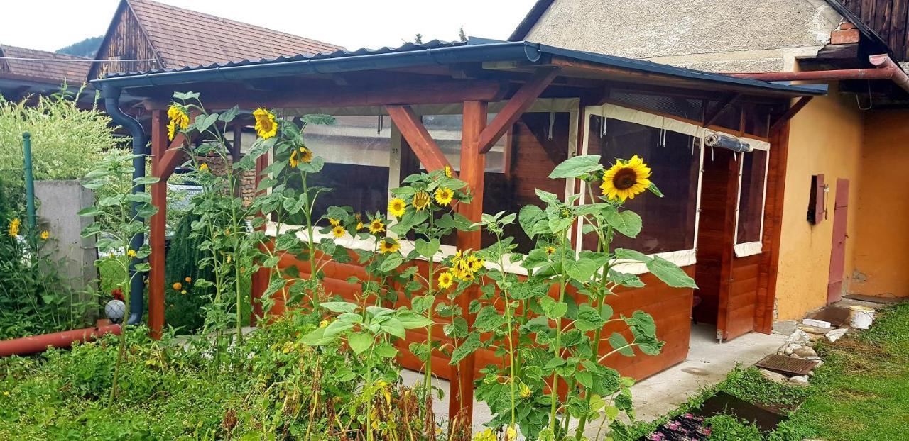 Apartament Privat Dano Lisková Zewnętrze zdjęcie
