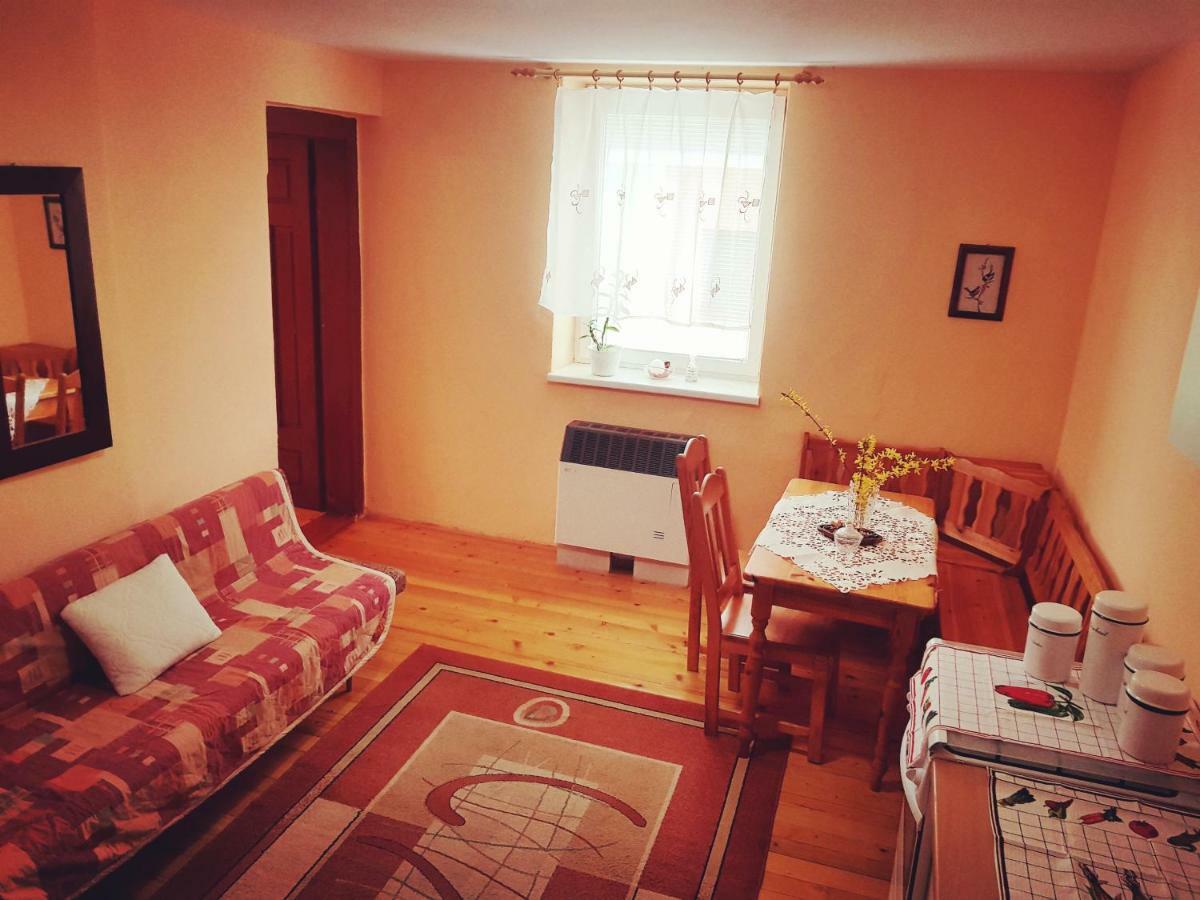 Apartament Privat Dano Lisková Zewnętrze zdjęcie